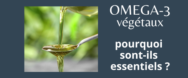 Les OMEGA-3 végétaux sont essentiels, on vous dit pourquoi